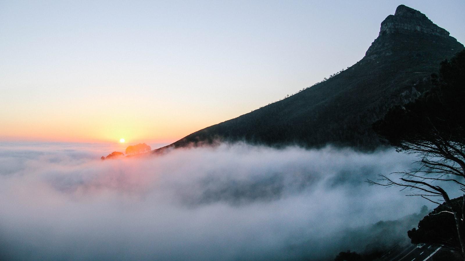 Background Check and Screening Services in East Asia & Pacific 6 Background Check and Screening Services in East Asia & Pacific